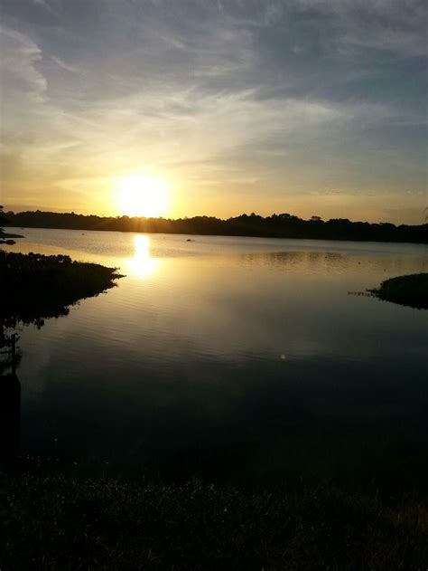 Ca O Manano Delta Del Orinoco Celestial Outdoor Sunset