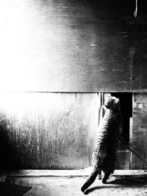 Sex Drugs And Ice Cream On Tumblr