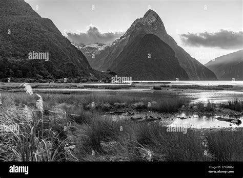 Milford Sound, New Zealand Stock Photo - Alamy