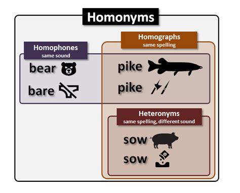 Homonyms Explanation And Examples