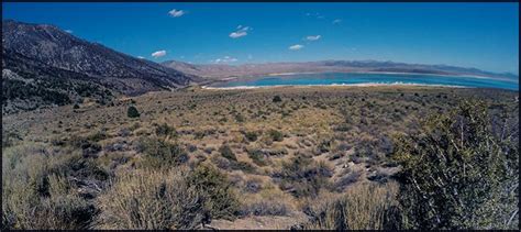 Desert Scrub | World Biomes | The Wild Classroom