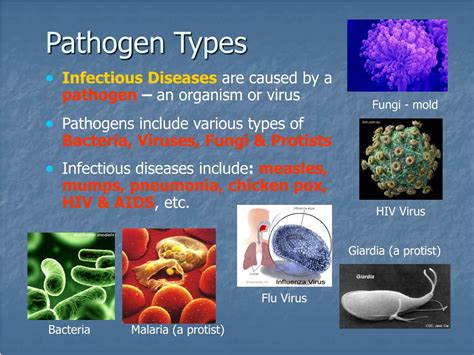 Definition Of Highly Infectious Disease And List Of Agents