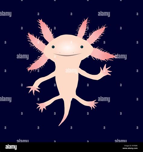 Premium Vector Clipart Kawaii Axolotls Cute Axolotl Clipart Set High