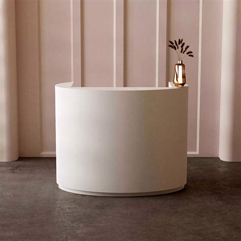 Small Salon Reception Desk With Counter In 2024 Salon Reception Desk