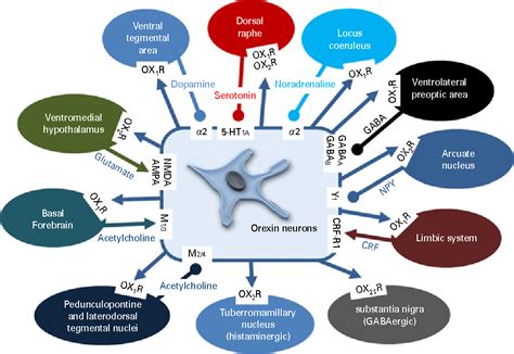 Dual Orexin Receptor Antagonist Drugs - ScienceHUB