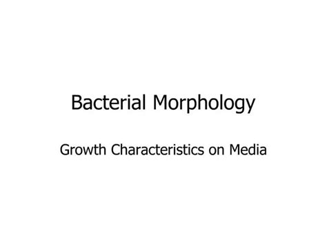 Ppt Bacterial Morphology Powerpoint Presentation Free Download Id