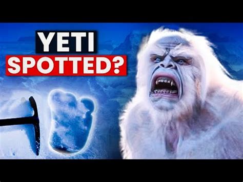 Unraveling The Yeti Mystery Discovering The Iconic Footprints