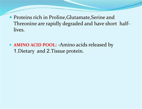 Protein Metabolism | PPT | Free Download