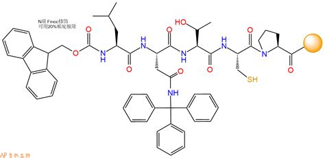 Fmoc L Asn Trt Tcp Resin Fmoc Leu Asn Trt Thr Cys Pro Resin Fmoc L N