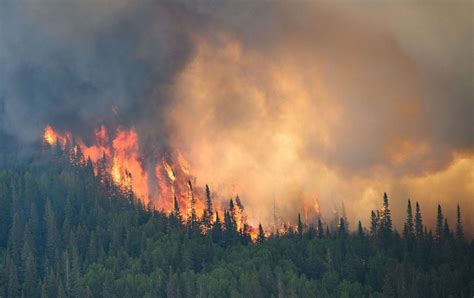 Canadian Wildfire Dangers Should Prompt More Proactive Mitigation From