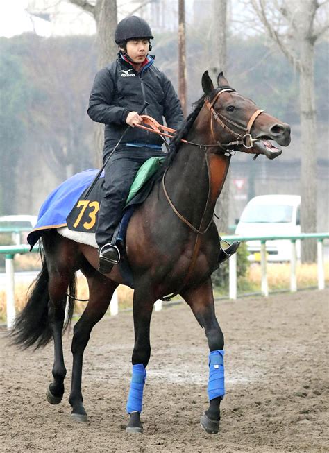 【次回注目馬】道悪や不利に泣いたアルベロベッロ ルメール「この馬場は合わなかった」 Umatoku 馬トク