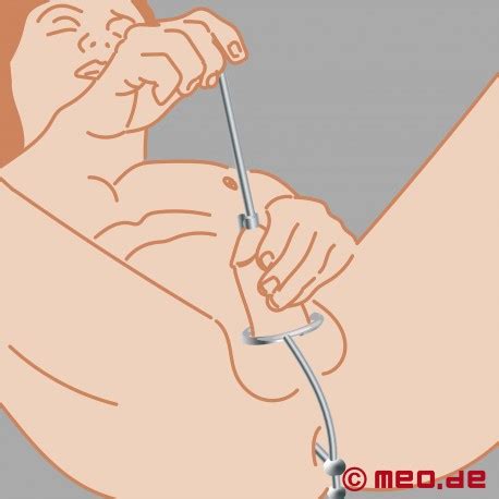 Intruso Anal Plug Peniano Compra Online No Meo Asslock