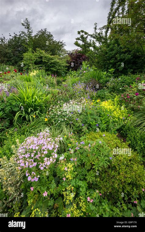 Giardino Di Campagna Immagini E Fotografie Stock Ad Alta Risoluzione