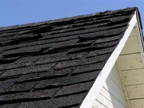 Warning Signs You Need A New Shingle Roof Modernize