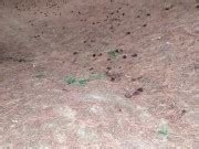 Bike Ride Ended With Hard Sex In The Middle Of The Forest With My New Friend Xxx Mobile Porno