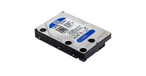 Жесткий диск 1Тб SATA-III Western Digital Caviar Blue [WD10EZEX]