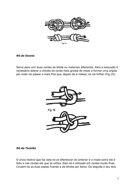 N S E Amarra Es Pdf