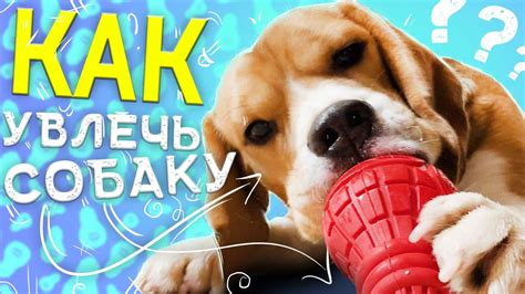 Игрушка для собак от GiGwi (Гигви) из серии Bulb Rubber. «Резиновая ...