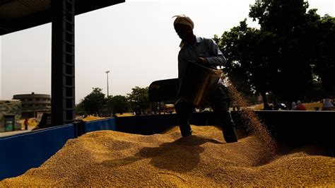 India To Provide Free Food Grains To Over 800 Million Poor People For 1