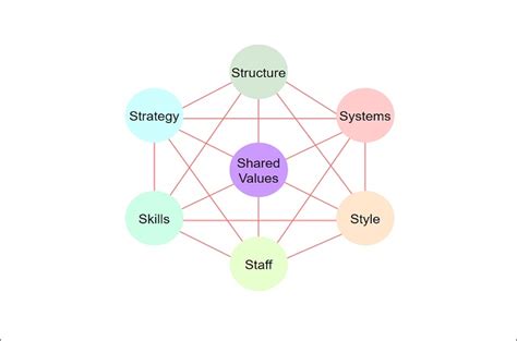 An Introduction to the McKinsey 7s Model with Examples