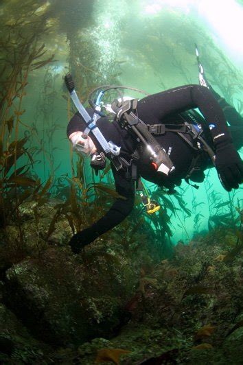 Diving Kelp Forests