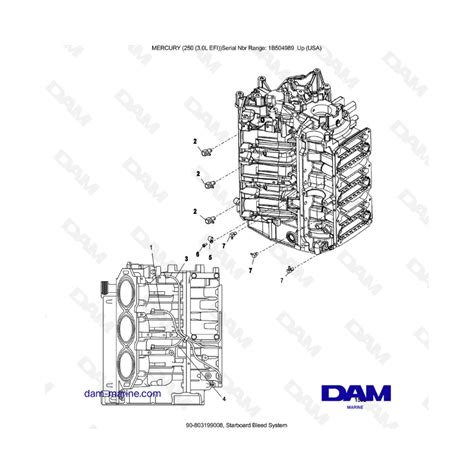 MERCURY 250 EFI 3 0L Sistema De Purga De Estribor