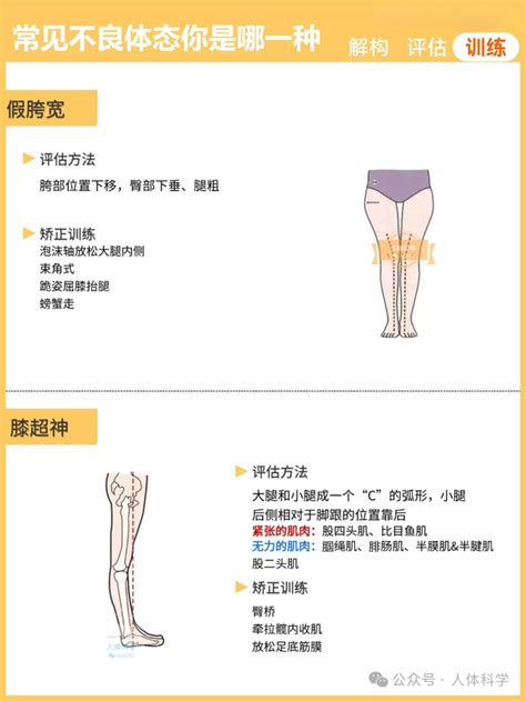 【体态评估】盘点常见不良体态评估方法和矫正训练 知乎