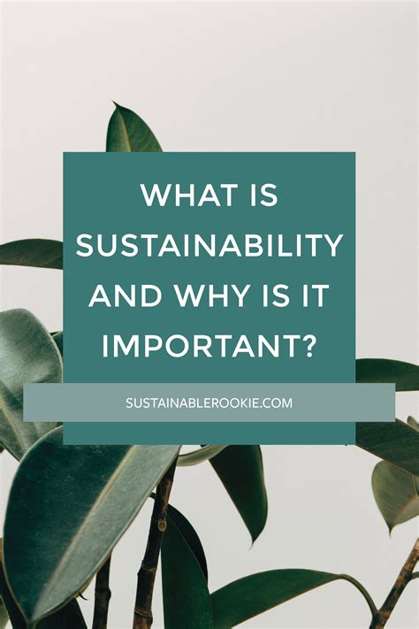 What Is Sustainability And Why Is It Important Sustainable Rookie