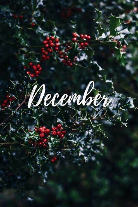 Pin by Kristin on Hello New Month | Hello december images, Cute ...