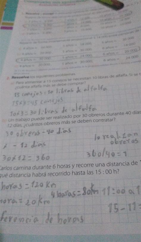 Para Alimentar Conejos Se Necesitan Libras De Alfalfa Si Se