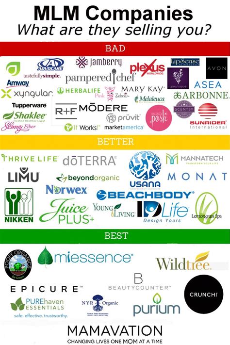 Best Mlm Companies Which Ones Should You Choose Ingredient