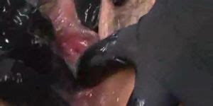 HARDCORE PUNISHMENTS Japanese Bondage Sex The Punishment Of Kaho And Ayumi Tnaflix