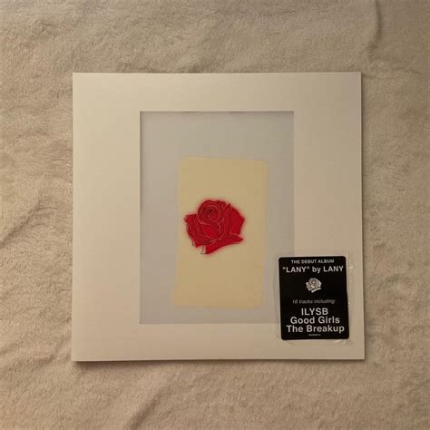 Lany- Lany: Debut Album Vinyl LP Plaka, Hobbies & Toys, Music & Media, Vinyls on Carousell