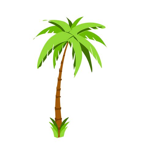 Palme Baum Clip Art 22962280 PNG