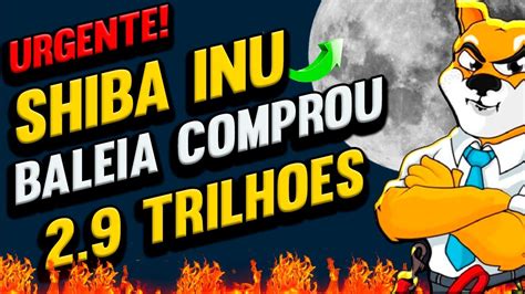 Shiba Inu Baleias Acumulam Trilhoes De Shib Na Queda Youtube