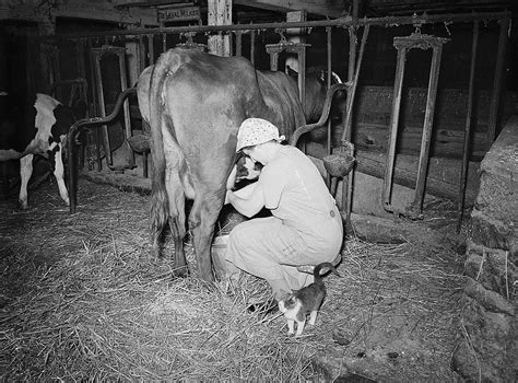 A Brief History Of Dairy Pricing Farm And Dairy