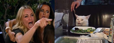 Woman Yelling At A Cat The Real Housewives Of Beverly Hills Taylor