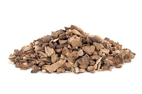 Wild Yam Root Dioscorea Villosa (Wild Yam) Root Extract - Bio-Botanica