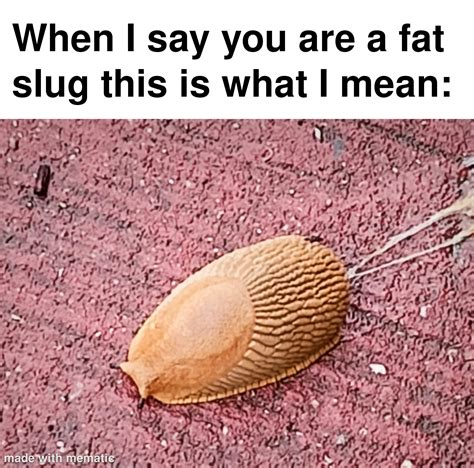 The slug of all slugs... : r/memes