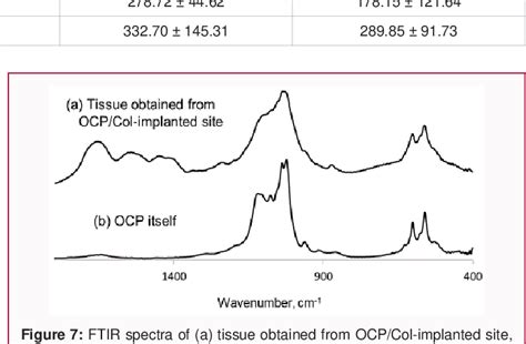 Figure 7 From Application Of Octacalcium Phosphate And Collagen