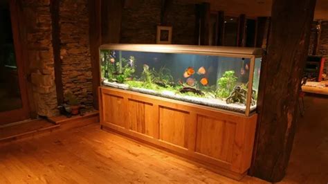 How to Decorate a 55 Gallon Aquarium: Tips and Ideas for a Stunning ...