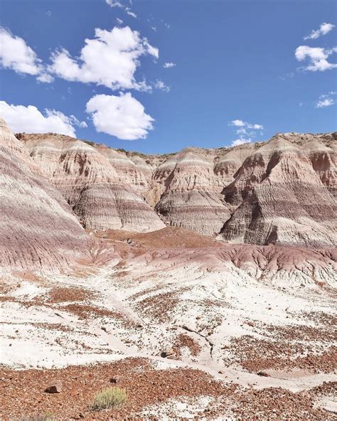 Petrified Forest National Park | Petrified forest national park ...