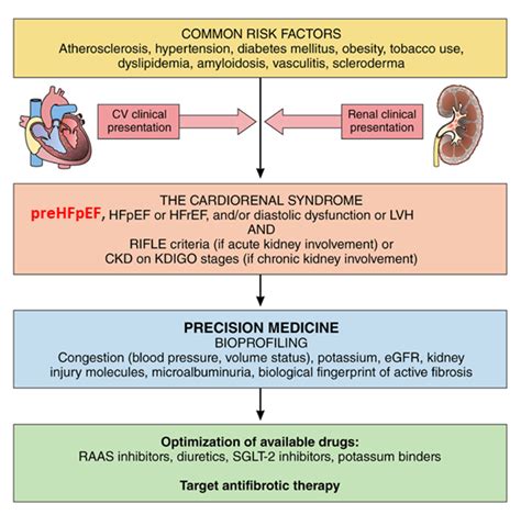 Stage 4 Kidney Disease And Congestive Heart Failure Prognosis