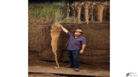 Agropecuarias Esta es la razón por la cual deforestar aunque sea