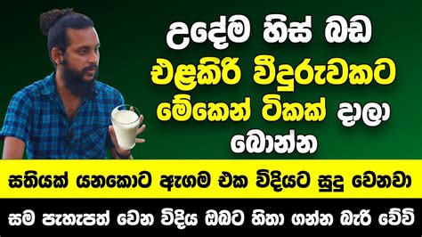 උදේම හිස් බඩ එළකිරි වීදුරුවකට මේකෙන් ටිකක් දාලා බොන්න සතියක් යනකොට