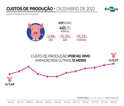 Custo De Produ O De Su Nos Fecha Pre O Acima Dos R Kg Vivo