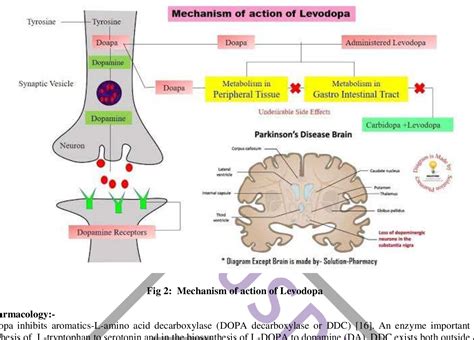 PDF A Review On Levodopa Carbidopa Drug For Treatment Of Parkinsons