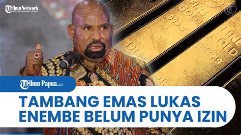 Tambang Emas Milik Lukas Enembe Di Tolikara Ternyata Belum Punya Izin