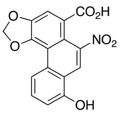 Scbt Santa Cruz Biotechnology