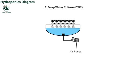 Hydroponics Diagram: Fresh Guidance - Urban House Garden